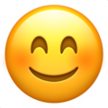 smiling-face-with-smiling-eyes_1f60a
